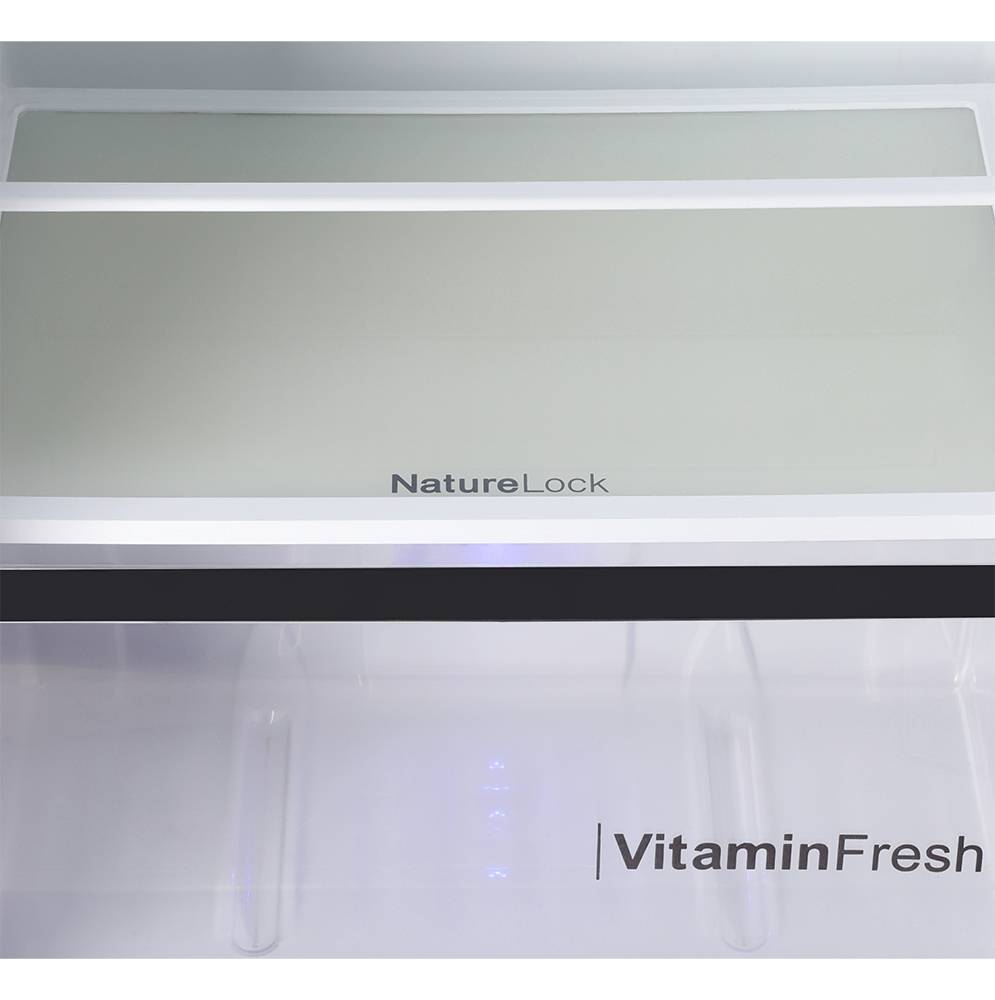 9173WB Avante+ Midnight Green Double Door Refrigerator